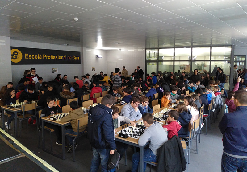 diamundialxadrez-gaia