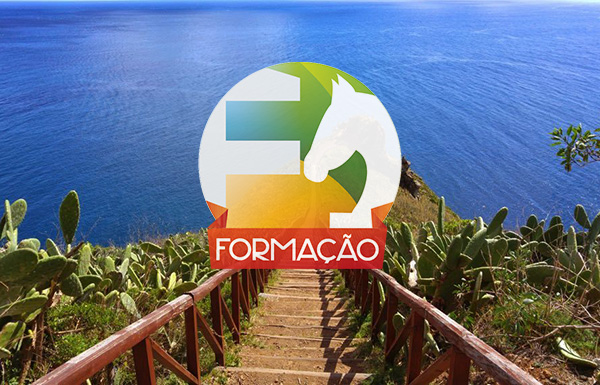 not-formacao-professores-madeira