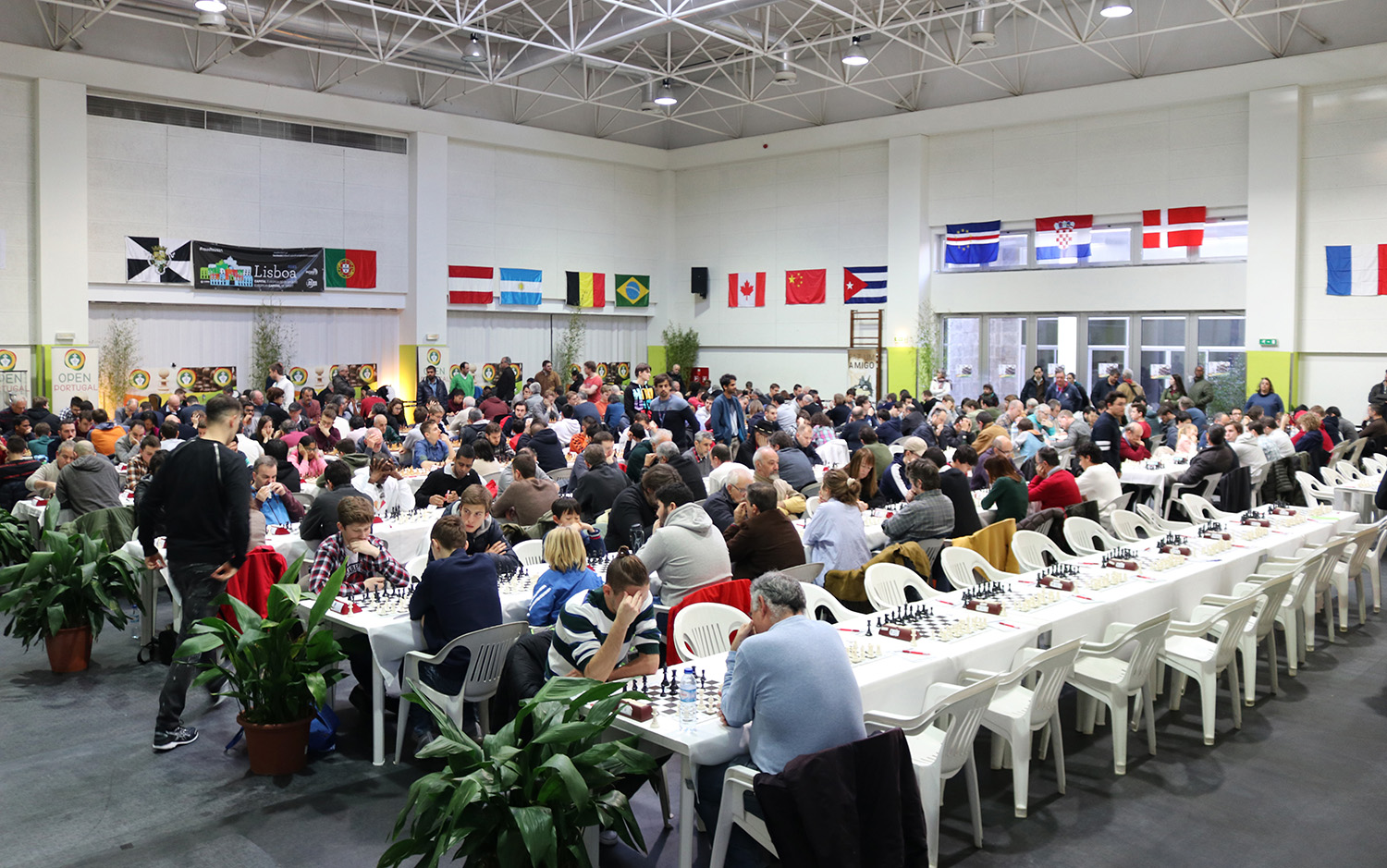 not-portugal-chess-tour